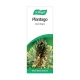 A Vogel Plantago Lanceolata Lance Leaf 50ml A Vogel Plantago Lanceolata Lance Leaf 50ml
