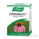 A Vogel Echinaforce (120 Tablets) A Vogel Echinaforce (120 Tablets)