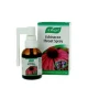 A Vogel Echinaforce Sore Throat Spray 30ml A Vogel Echinaforce Sore Throat Spray 30ml