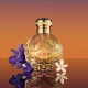 Elie Saab Elixir Edp 50ml