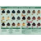 Herbatint Permanent Hair Colour Black (170 ml) Herbatint Permanent Hair Colour Black (170 ml)