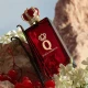 Dolce & Gabbana Q Parfum 100ml Dolce & Gabbana Q Parfum 100ml