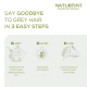 Naturtint Instant Root Retouch 2in1 Dark Blonde (10 ml)