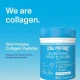 Vital Proteins Collagen Peptides (284g)