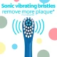 Colgate X Bluey Toothbrush Battery Colgate X Bluey Toothbrush Battery
