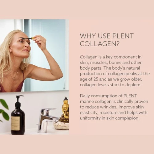 Plent Marine Collagen Tropical Pineapple Box (30sachets)