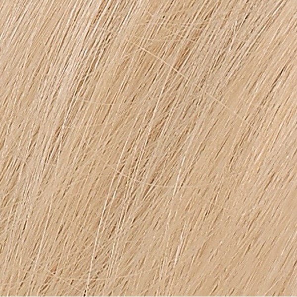 Naturtint Permanent Gel 10N Light Dawn Blonde (170 ml) Naturtint Permanent Gel 10N Light Dawn Blonde (170 ml)
