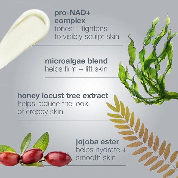 Dermalogica Dynamic Skin Sculptor showing key ingredients Dermalogica Dynamic Skin Sculptor showing key ingredients