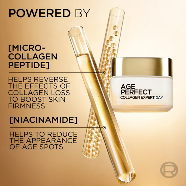 LOreal Dermo Expertise Age Perfect Re-hydrating Night Cream Pot 50ml LOreal Dermo Expertise Age Perfect Re-hydrating Night Cream Pot 50ml