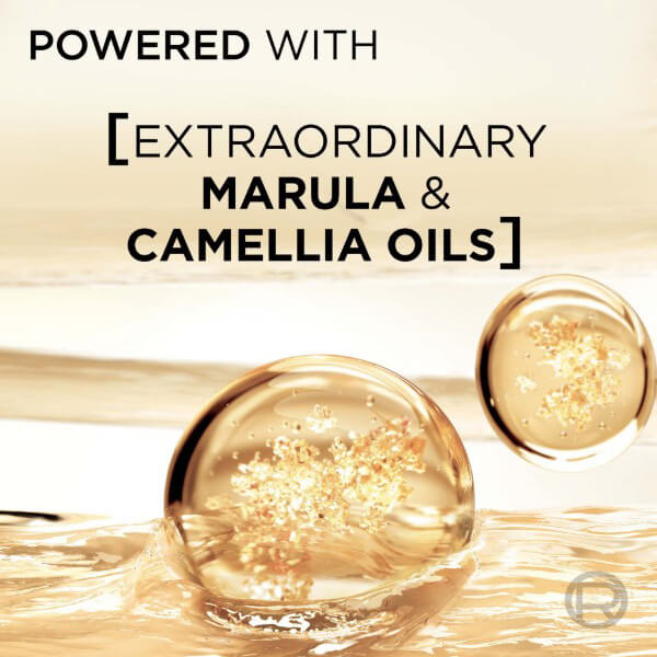 LOreal Elvive Extraordinary Day & Night Set LOreal Elvive Extraordinary Day & Night Set