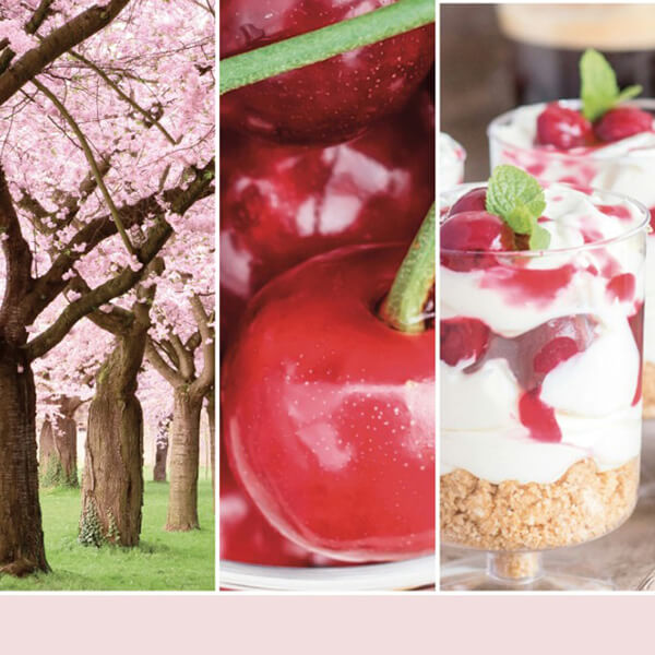 Yankee Candle Signature Large Jar Pink Cherry Vanilla