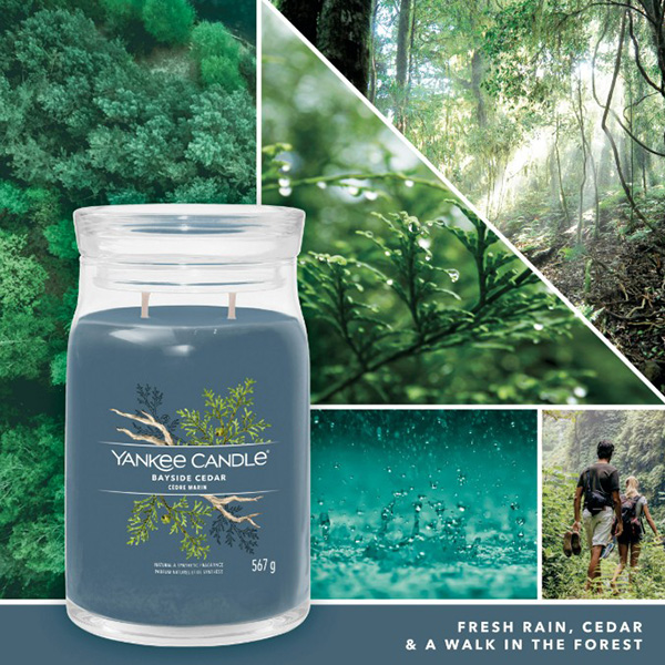Yankee Candle Signature Large Jar Bayside Cedar 567g Yankee Candle Signature Large Jar Bayside Cedar 567g