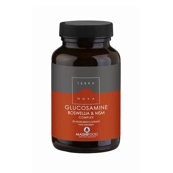 Terranova Nutrition Glucosamine Boswelia & MSM Complex (100 caps)