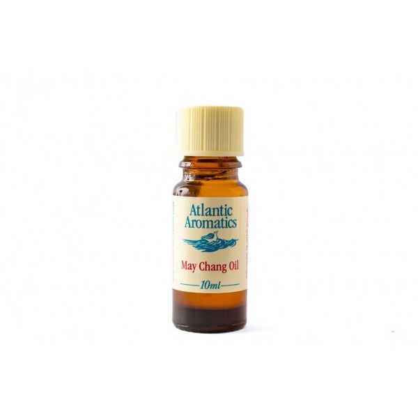 Atlantic Aromatics May Chang Oil (China) 10 ml