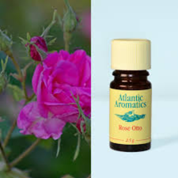 Atlantic Aromatics Rose Otto Bulgaria (2.5 Gr)