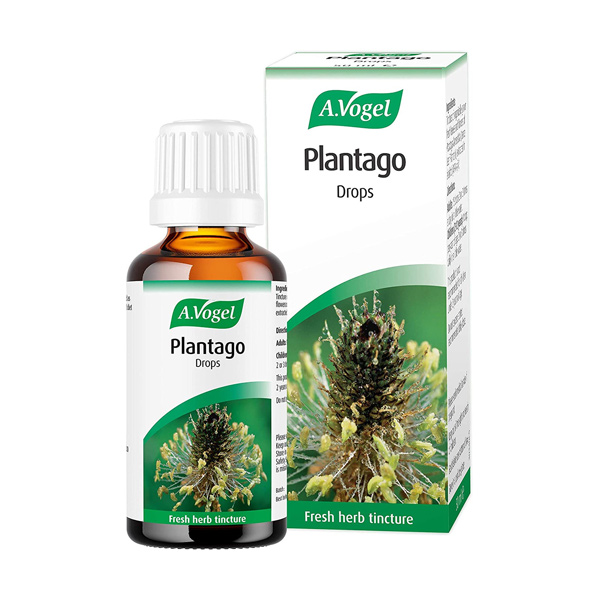 A Vogel Plantago Lanceolata Lance Leaf 50ml A Vogel Plantago Lanceolata Lance Leaf 50ml